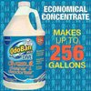 Odoban OdoBan Dive Wetsuit Cleaner & Deodorizer Concentrate, Clean Fresh Scent, 1 Gallon 971089P-G4